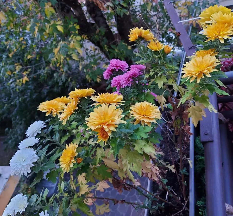 Guesthouse Calvart25 Bologna Guest house